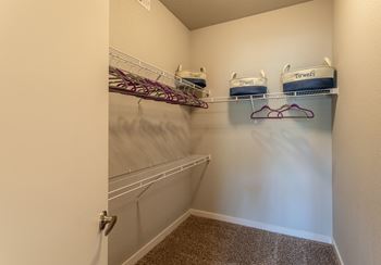 Expansive closets with custom shelving